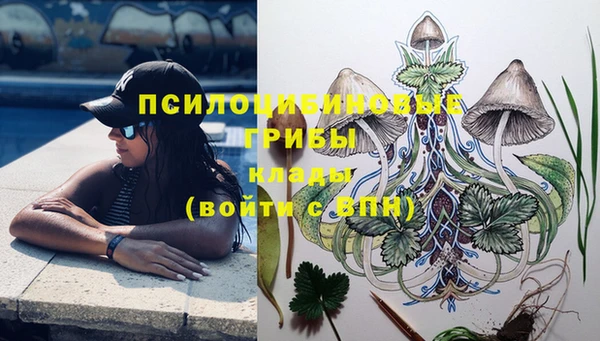 мяу мяу кристалл Надым