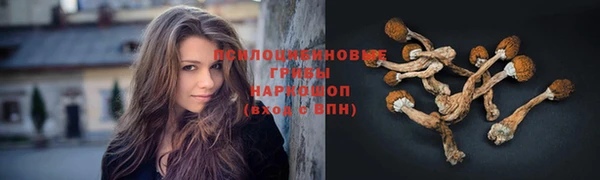 прущая мука Михайлов