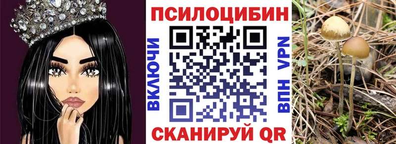 Купить  Чадан  Галлюциногенные грибы GOLDEN TEACHER 