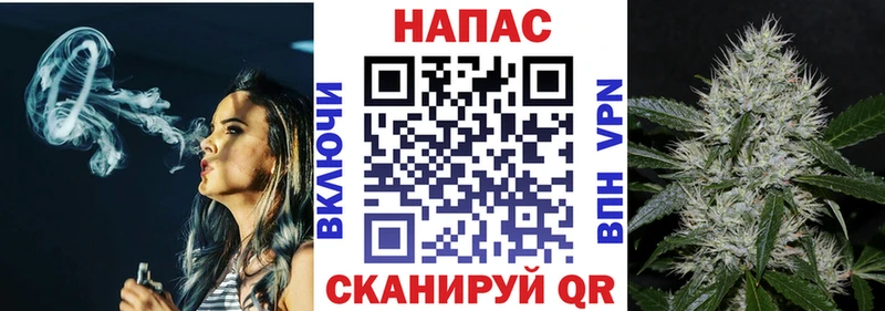 Купить  Чадан  Каннабис семена 
